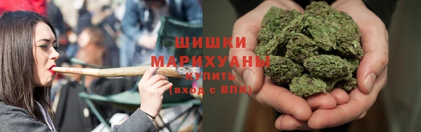 соль ск Гусев