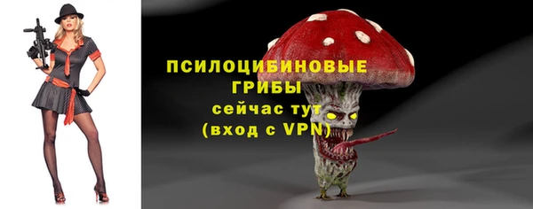 соль ск Гусев