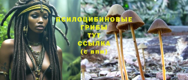 соль ск Гусев
