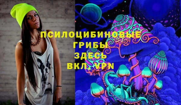 кокс Гусь-Хрустальный