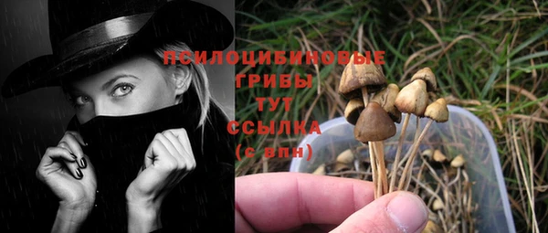 кокс Гусиноозёрск