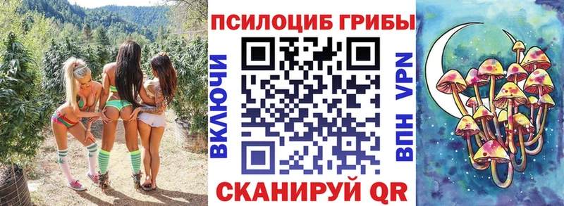 Псилоцибиновые грибы Psilocybe  Купить где  Емва 