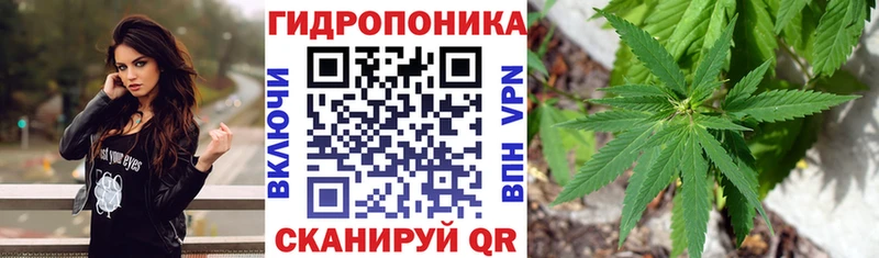 Каннабис White Widow  Купить  Емва 